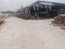 LPK GPI Tubaba akan Tindak Lanjut Prusahaan Pabrik Kayu Yang Diduga Menggunakan BBM Subsidiidin