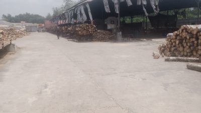 LPK GPI Tubaba akan Tindak Lanjut Prusahaan Pabrik Kayu Yang Diduga Menggunakan BBM Subsidiidin