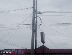 Prusahaan Wfi Diduga Memasang Kabel Di Tiang PLN